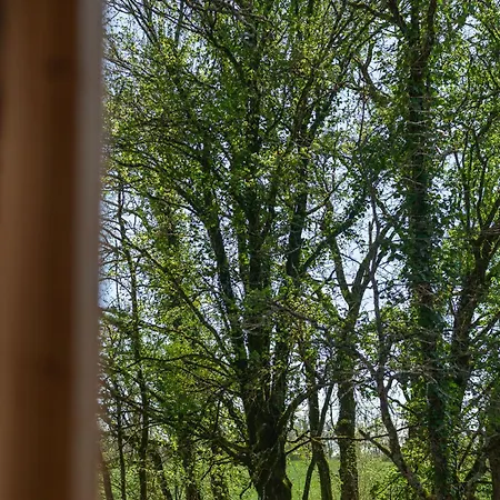 Tatil Evi Ethic Simple & Chic Labastide-Marnhac