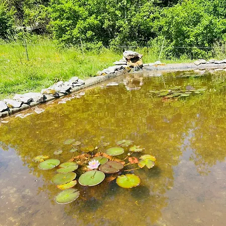 Ethic Simple & Chic Tatil Evi Labastide-Marnhac